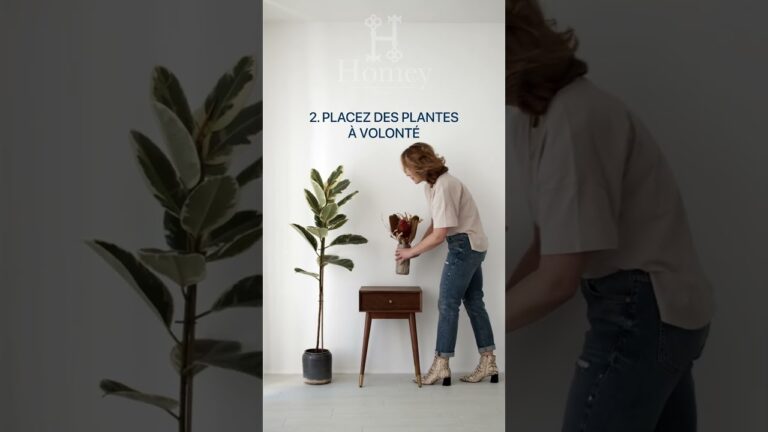 Optimisez votre location saisonnière : 5 conseils déco incontournables pour séduire vos voyageurs